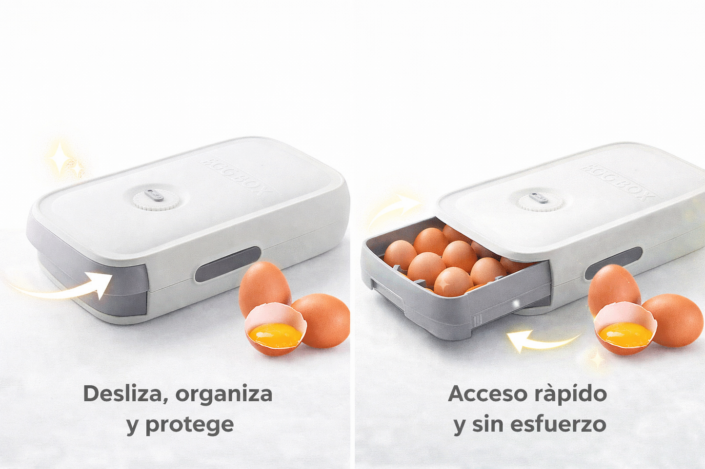 Organizador de Huevos